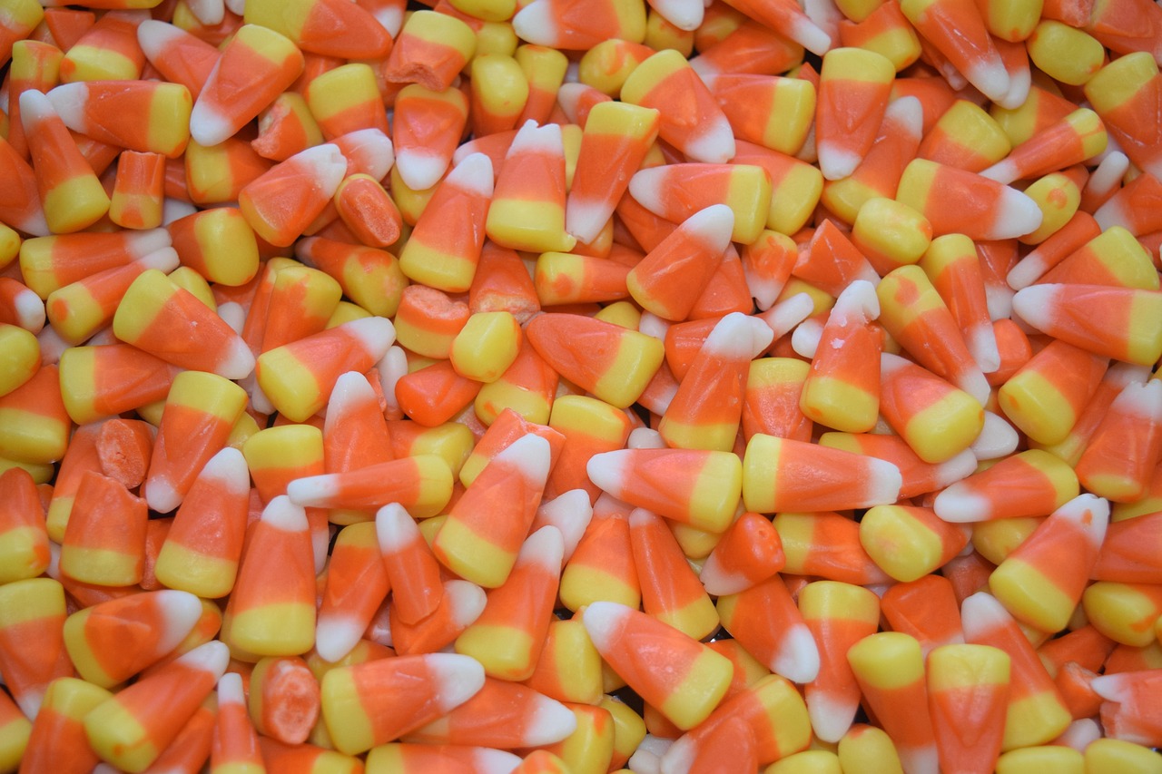 A bucket full of collected Halloween candy