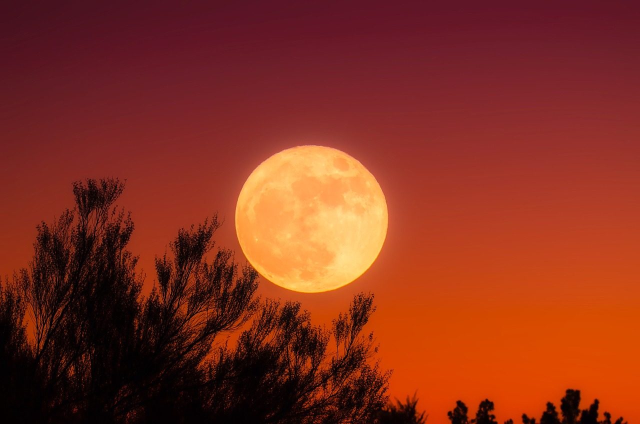 A huge full moon over a spooky silhouette