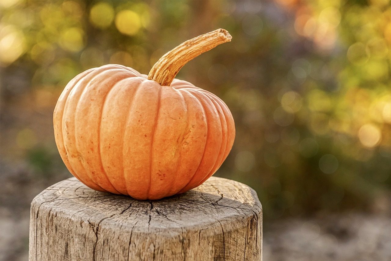 Hands carving a jack-o-lantern with a stencil