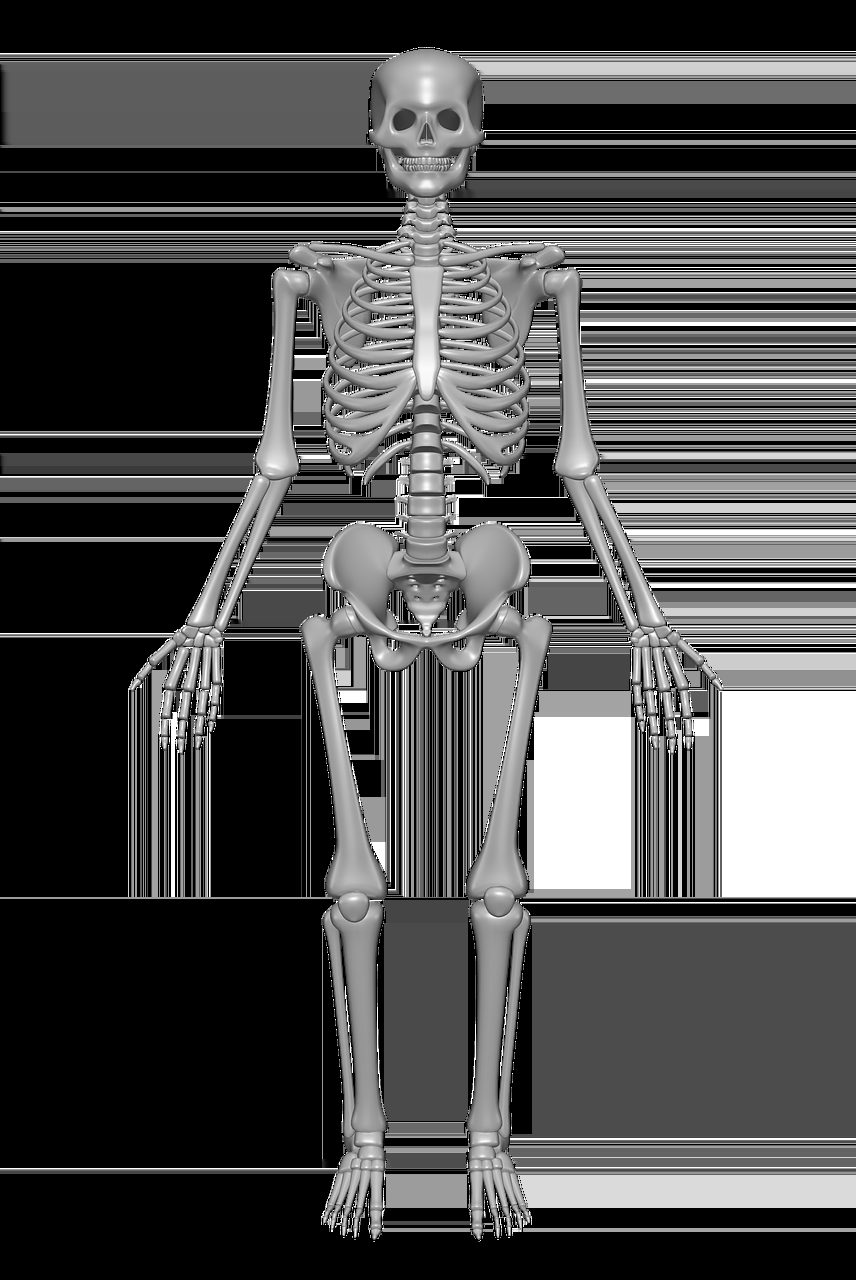 A funny skeleton in a business suit