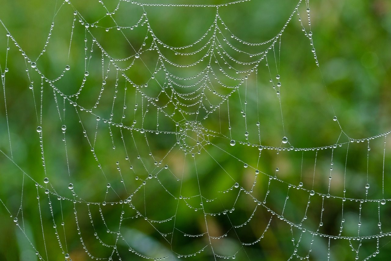A big fuzzy spider decoration in a corner